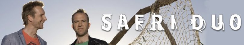artist banner