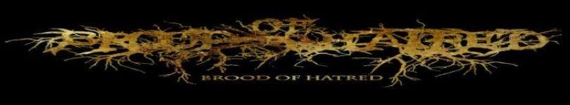 artist banner