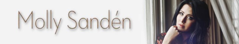 artist banner
