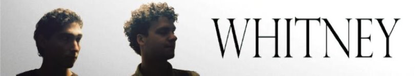 artist banner