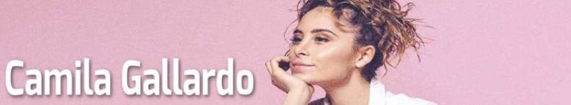 artist banner