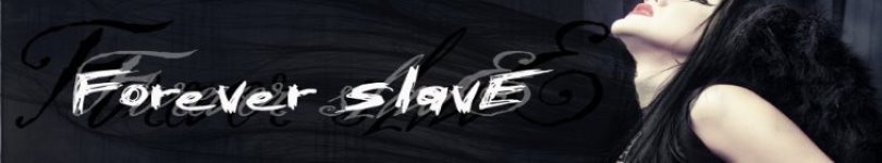 artist banner