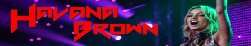artist banner