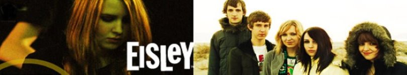 artist banner