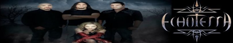 artist banner