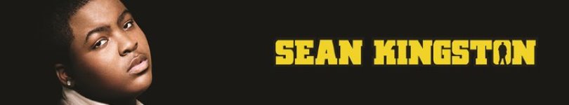 artist banner