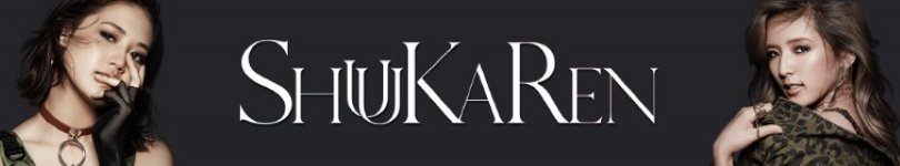 artist banner
