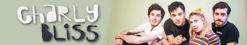 artist banner