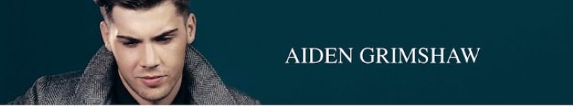 artist banner