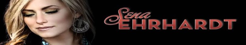 artist banner