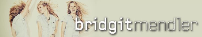 artist banner