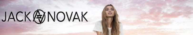 artist banner