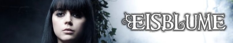 artist banner