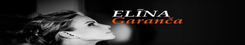 artist banner