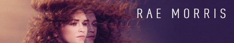 artist banner