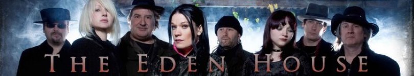 artist banner