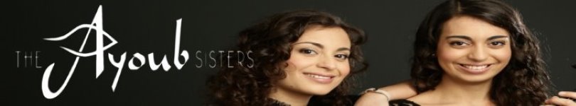 artist banner
