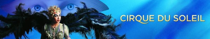 artist banner