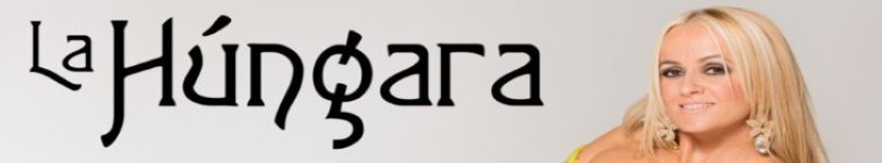 artist banner
