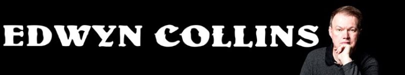 artist banner