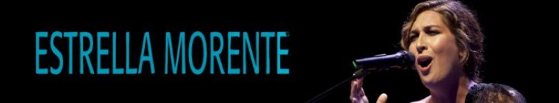 artist banner