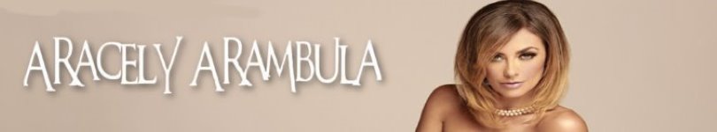 artist banner