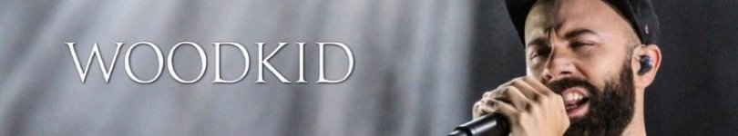 artist banner
