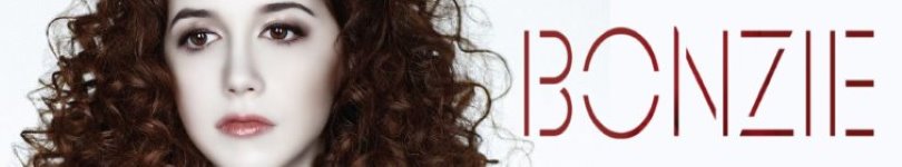 artist banner