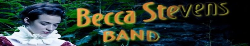 artist banner