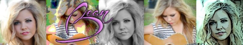artist banner