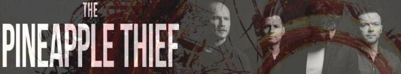 artist banner