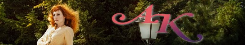 artist banner