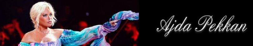 artist banner