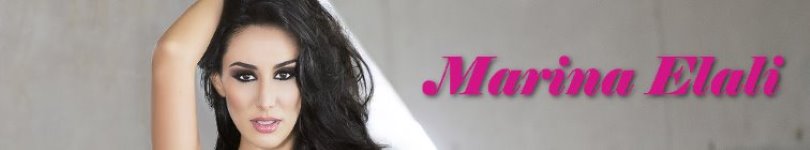 artist banner