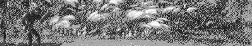 banner thumb