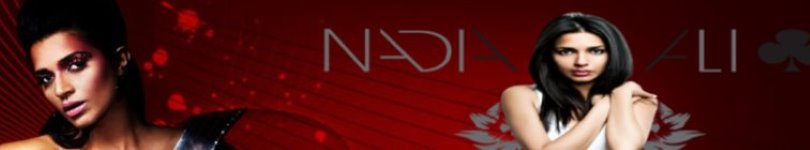 artist banner