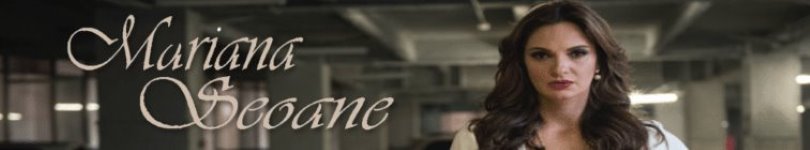 artist banner