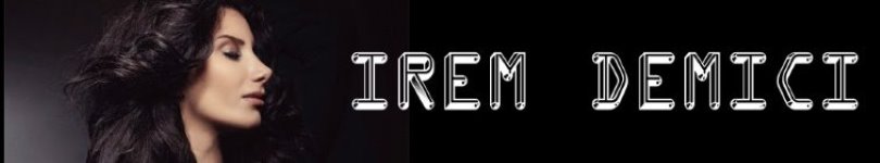 artist banner
