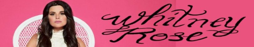 artist banner