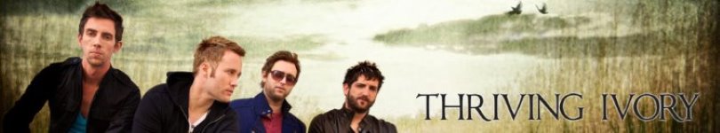 artist banner