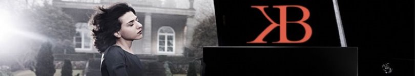 artist banner