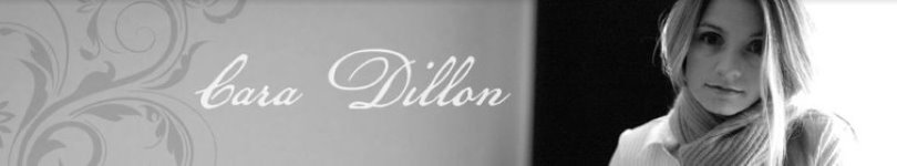 artist banner
