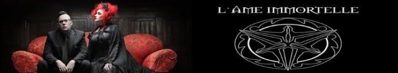 artist banner