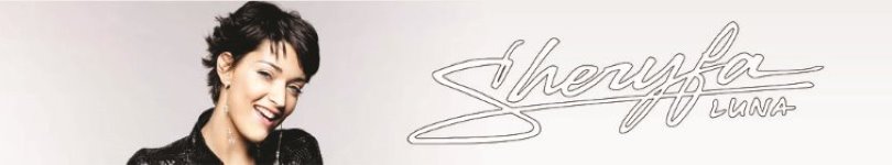 artist banner