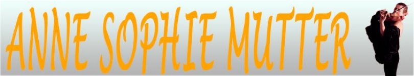 artist banner