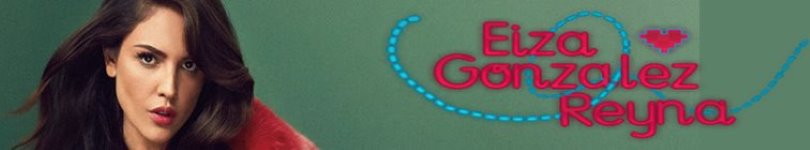 artist banner