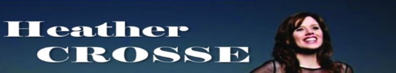 artist banner