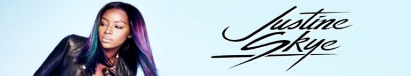 artist banner