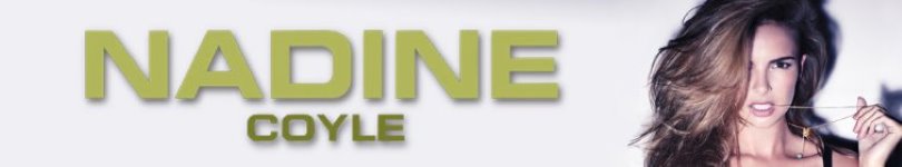 artist banner