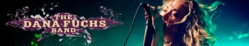 artist banner